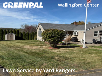 Grass Cutting in Wallingford, 6492, Yard Grooming by Yard Rangers, work completed in Nov , 2025