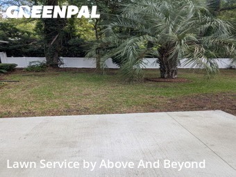 Lawn Care Service nearby Myrtle Beach, GA, 