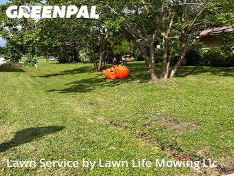 Lawn Mow nearby Palm Bay, FL, 