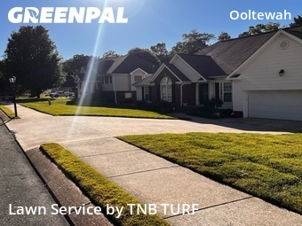 Grass Cutting nearby Ooltewah, TN, 