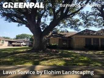 Lawn Mowing Servicein Pasadena,77505,Lawn Mowing Service by Elohim Landscaping, work completed in Jan , 2026