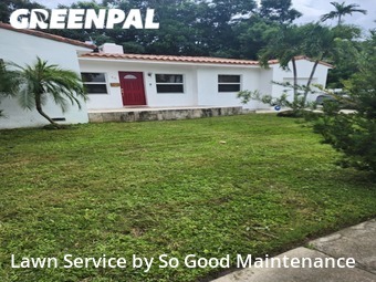 Grass Cut nearby Miami Shores, FL, 