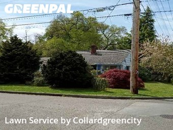 Lawn Mowing nearby Seattle, WA, 