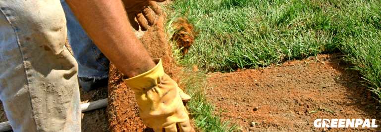 Most Common Services Landscaping Companies Offer (According to the Pros)