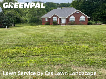 Yard Cutting nearby Cottontown, KY, 