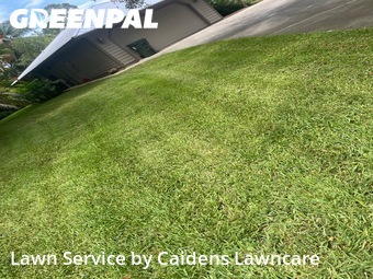 Lawn mowed in Greenacres, 33463