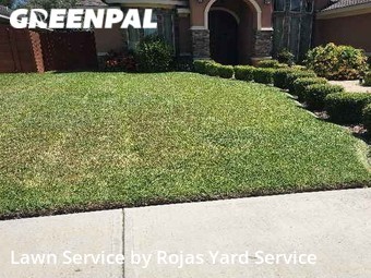 Lawn Care nearby Mc Allen, TX, 
