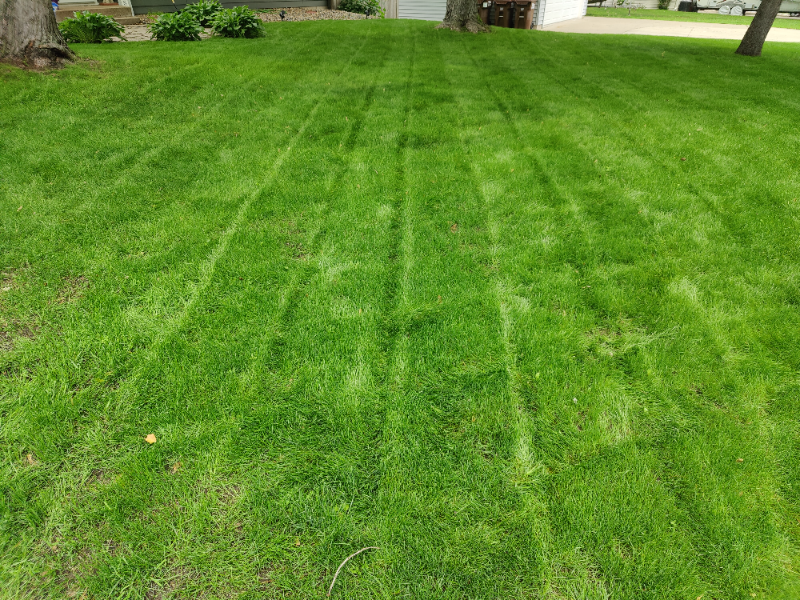 Lawn Care Service in Hastings, MN, 55033