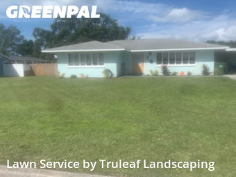 Yard Cutting nearby Bradenton, FL, 