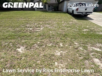 Lawn Cut nearby Deltona, FL, 