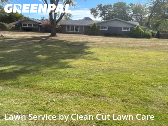 Grass Cutting nearby Holland, OH, 