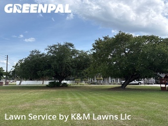 Grass Cut nearby Kissimmee, FL, 