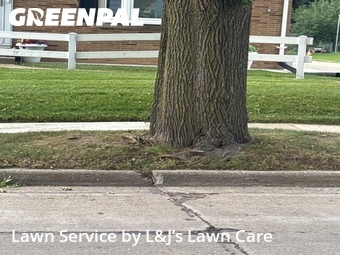 Yard Mowing nearby West Allis, WI, 