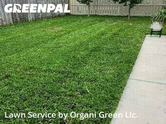 Lawn Mowing Service nearby Tampa, FL, 