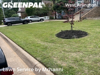 Lawn Maintenance nearby Arlington, TX, 