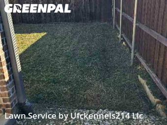 Lawn Management in Princeton, 75407, Grass Services by Ufckennels214 Llc, work completed in Nov , 2025