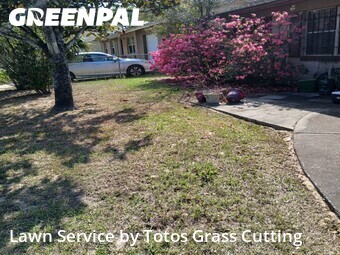 Lawn Cut nearby Apopka, FL, 