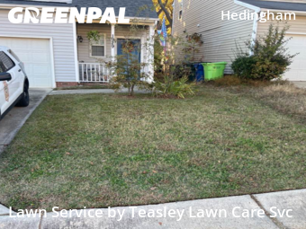 Lawn Maintenance nearby Raleigh, NC, 