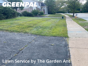 Lawn Mowin Chesterfield,63017,Grass Cut by The Garden Ant , work completed in Dec , 2025