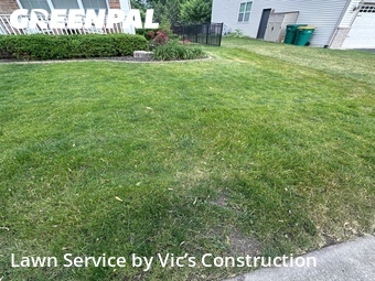 Grass Cut nearby Romeoville, IL, 