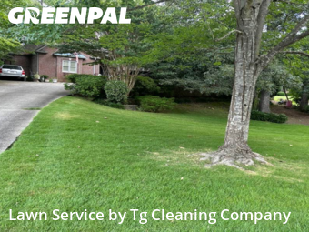 Lawn Cut nearby Birmingham, AL, 