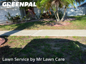 Grass Cutting nearby Riverview, FL, 