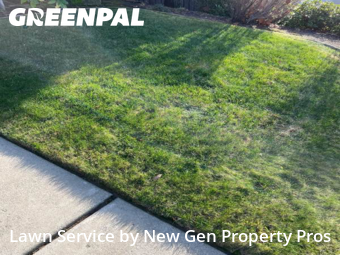Lawn Management in Danville, 94506, Yard Maintenance by New Gen Property Pros, work completed in Dec , 2025