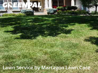 Lawn Maintenance nearby Woodbury, MN, 