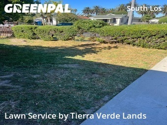 Lawn Cutting nearby Los Angeles, CA, 