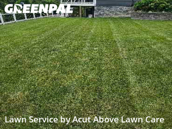 Lawn Mow nearby Bridgeville, PA, 
