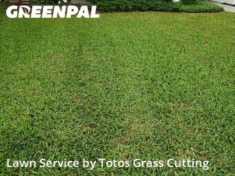Lawn Cutting nearby Orlando, FL, 