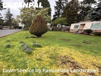 Lawn Cut nearby Burien, WA, 