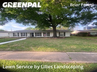 Lawn Maintenance nearby Houston, TX, 