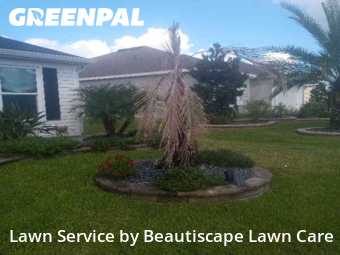 Grass Cutting nearby The Villages, FL, 