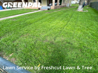 Yard Mowing nearby Seguin, TX, 