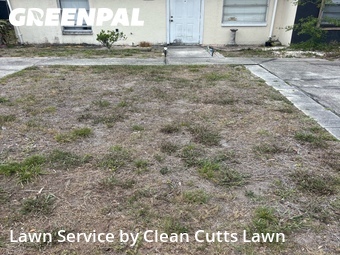 Lawn mowed in South Bradenton, 34205