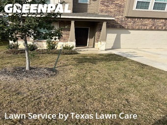 Lawn Cuttingin San Antonio,78252,Lawn Cut by Texas Lawn Care, work completed in Jan , 2026