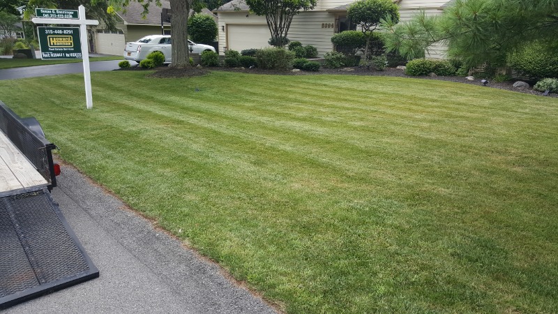 the-yard-cutting-businesses-in-Syracuse-NY