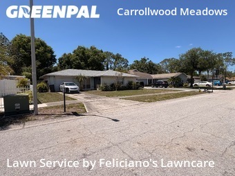 Grass Cut nearby Tampa, FL, 