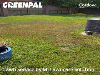 Backyard Mowing in Cordova, 38016, Lawn Care by Mj Lawncare Solution, work completed in Dec , 2025