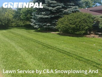Lawn Mowing Service nearby Arlington Heights, IL, 