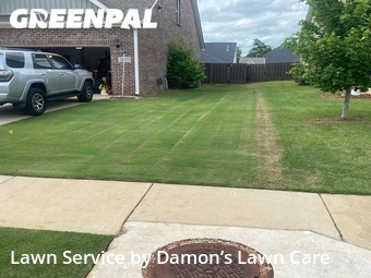 Landscaping Renovation In Athens,35613,Landscaping Installation by Damon’s Lawn Care, work completed in Jun , 2026