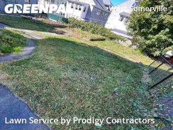 Grass Services in Somerville, 2144, Yard Upkeep by Prodigy Contractors , work completed in Nov , 2025