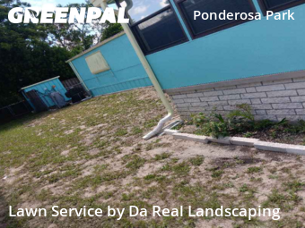 Grass Cut nearby Hudson, FL, 