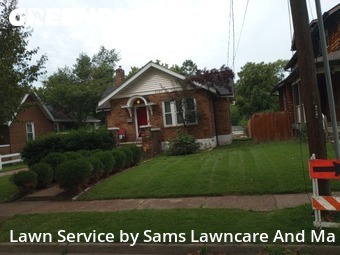 Lawn Mow nearby University City, IL, 
