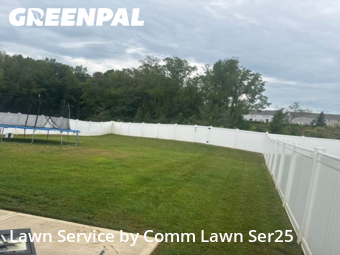 Lawn Mow nearby Greer, SC, 