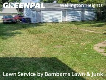 Lawn Cut nearby Cedar Rapids, IA, 