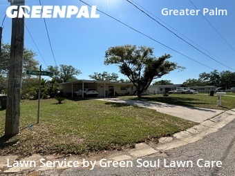 Lawn Cutting nearby Tampa, FL, 