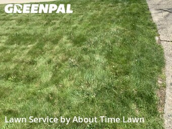 Grass Cutting nearby Eastpointe, MI, 