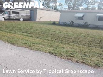 Lawn Cut nearby Punta Gorda, FL, 